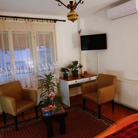 Apartman Carpe Diem ซาเยชาร์ ภายนอก รูปภาพ