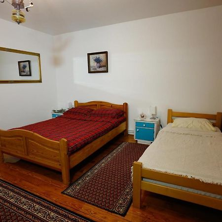 Apartman Carpe Diem ซาเยชาร์ ภายนอก รูปภาพ